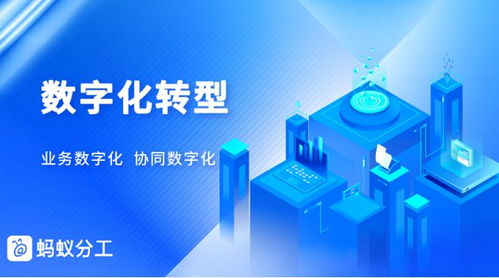 借力螞蟻分工 泛能網業務擴張后的數字化管理與網絡安全信息咨詢之路